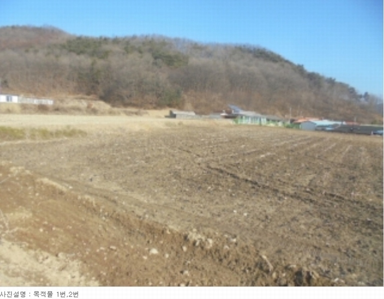 2024타경30457 충청북도 충주시 앙성면 강천리 229-5 농지 경매 이미지