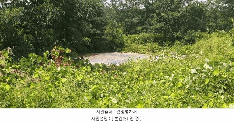 2024타경33654 충청북도 음성군 음성읍 신천리 산22-4 임야 경매 이미지