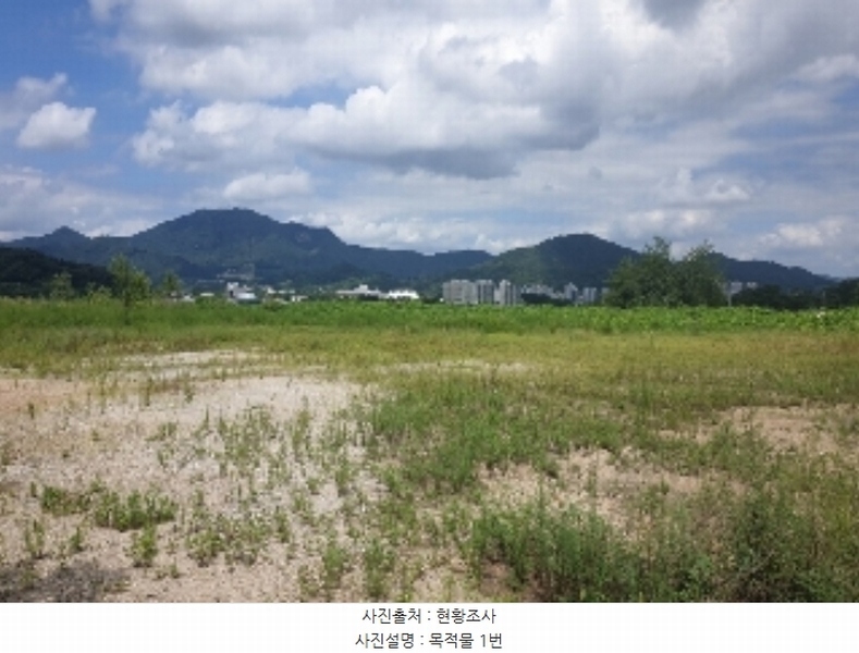 2024타경33654 충청북도 음성군 음성읍 신천리 산22-4 임야 경매 이미지