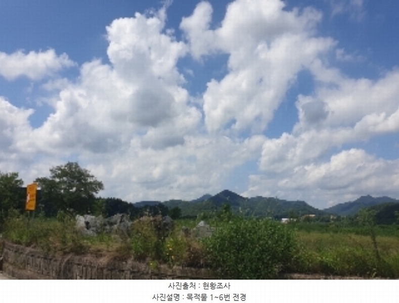 2024타경33654 충청북도 음성군 음성읍 신천리 산22-4 임야 경매 이미지