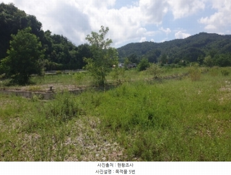 2024타경33654 충청북도 음성군 음성읍 신천리 산22-4 임야 경매 이미지
