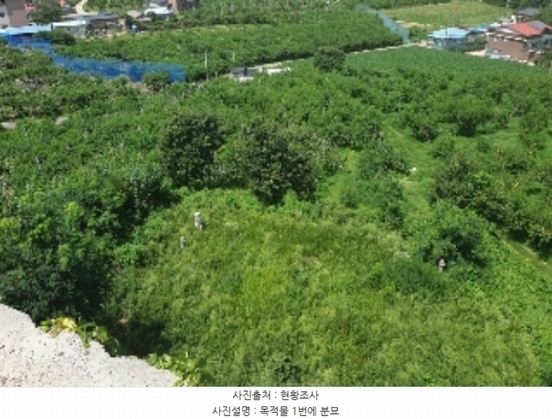 2024타경33654 충청북도 음성군 음성읍 신천리 산22-4 임야 경매 이미지