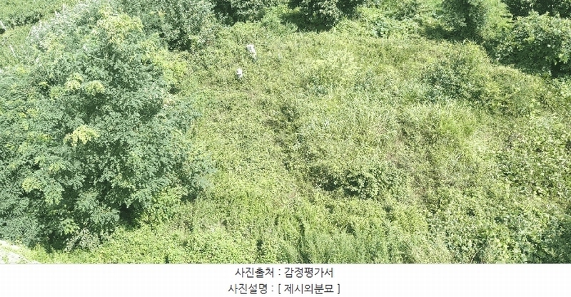 2024타경33654 충청북도 음성군 음성읍 신천리 산22-4 임야 경매 이미지