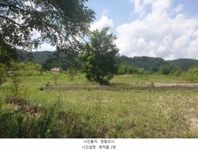 2024타경33654 충청북도 음성군 음성읍 신천리 산22-4 임야 경매 이미지