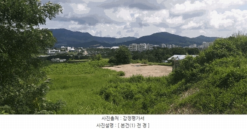 2024타경33654 충청북도 음성군 음성읍 신천리 산22-4 임야 경매 이미지