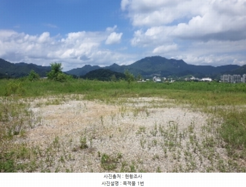 2024타경33654 충청북도 음성군 음성읍 신천리 산22-4 임야 경매 이미지