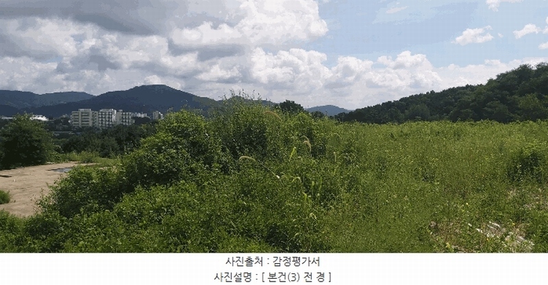 2024타경33654 충청북도 음성군 음성읍 신천리 산22-4 임야 경매 이미지