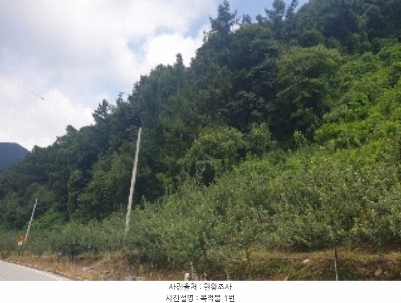 2024타경33876 충청북도 충주시 살미면 재오개리 산39 임야 경매 이미지