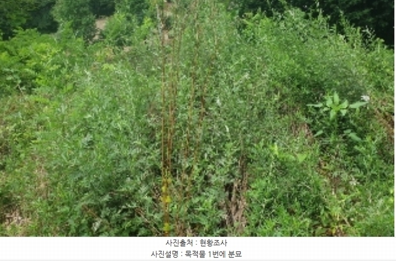 2024타경33876 충청북도 충주시 살미면 재오개리 산39 임야 경매 이미지