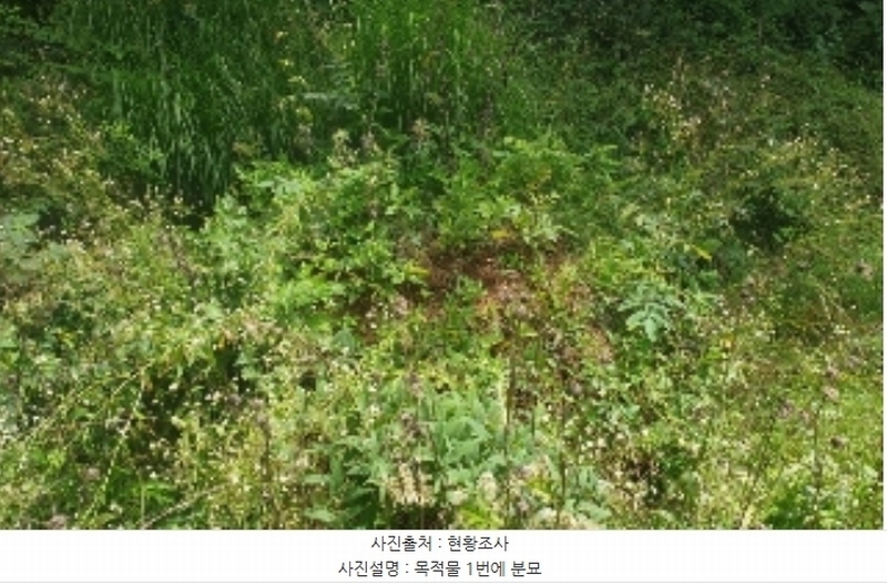 2024타경33876 충청북도 충주시 살미면 재오개리 산39 임야 경매 이미지