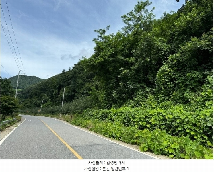 2024타경33876 충청북도 충주시 살미면 재오개리 산39 임야 경매 이미지