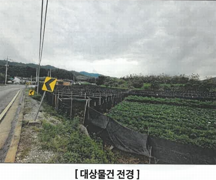 2024타경34473 충청북도 충주시 주덕읍 신양리 354 과수원 경매 이미지