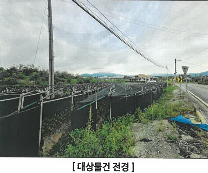 2024타경34473 충청북도 충주시 주덕읍 신양리 354 과수원 경매 이미지