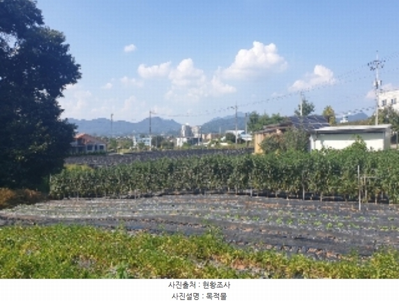 2024타경34473 충청북도 충주시 주덕읍 신양리 354 과수원 경매 이미지