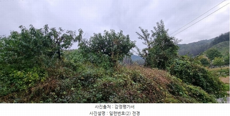 2024타경34923 충청북도 충주시 앙성면 모점리 278-2 농지 경매 이미지