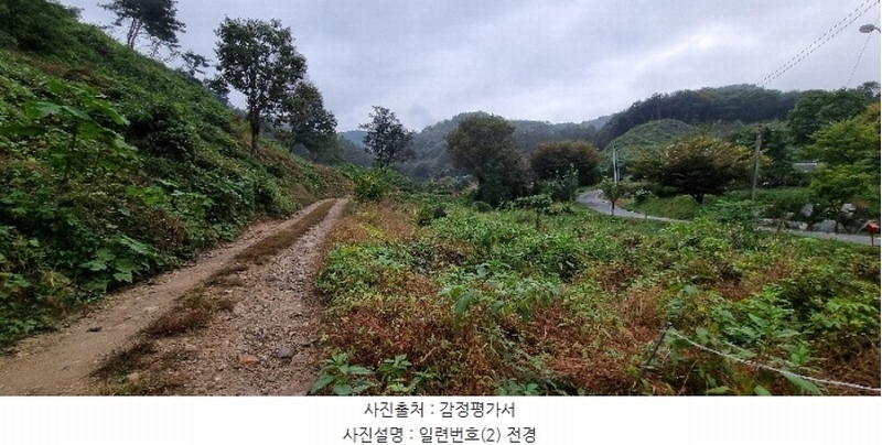 2024타경34923 충청북도 충주시 앙성면 모점리 278-2 농지 경매 이미지