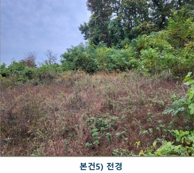 2024타경35100 충청북도 음성군 삼성면 용성리 552-6 농지 경매 이미지