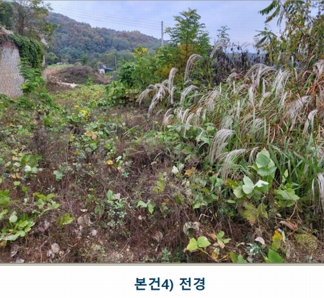 2024타경35100 충청북도 음성군 삼성면 용성리 552-6 농지 경매 이미지