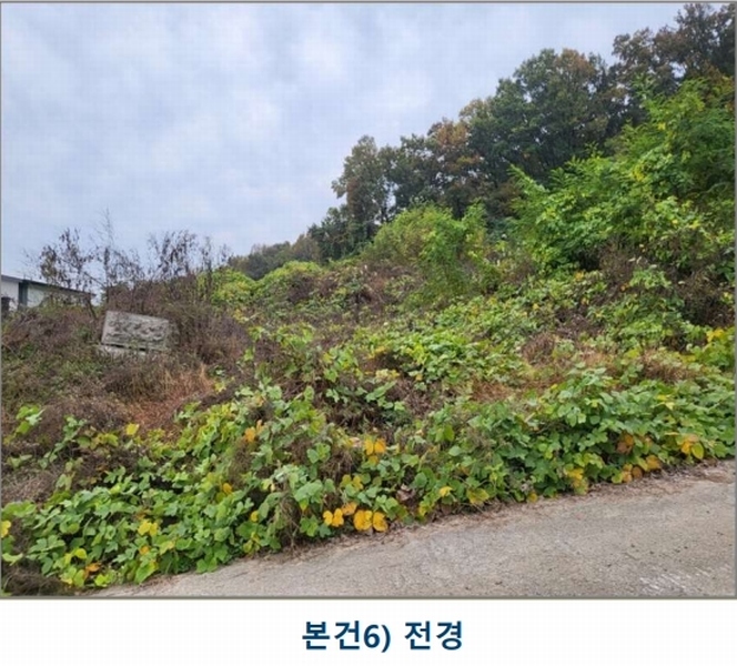2024타경35100 충청북도 음성군 삼성면 용성리 552-6 농지 경매 이미지