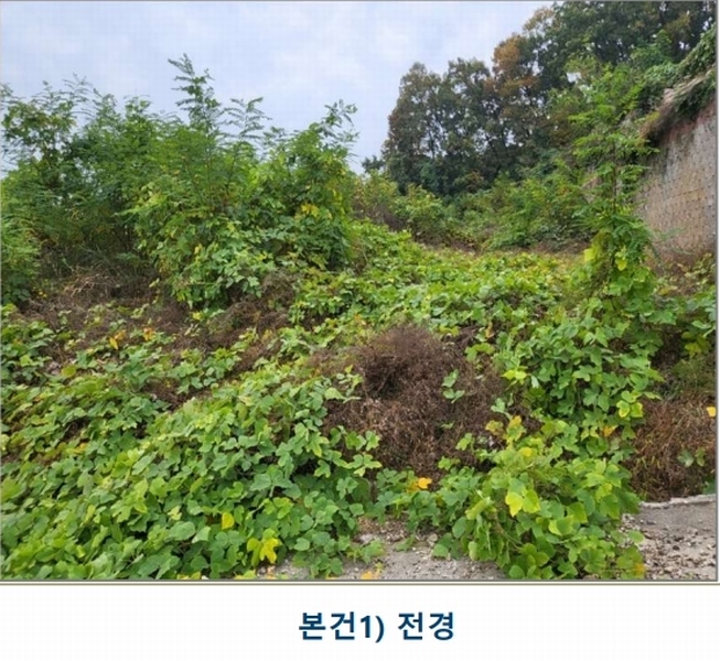 2024타경35100 충청북도 음성군 삼성면 용성리 552-6 농지 경매 이미지