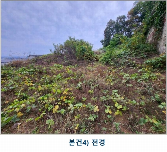 2024타경35100 충청북도 음성군 삼성면 용성리 552-6 농지 경매 이미지