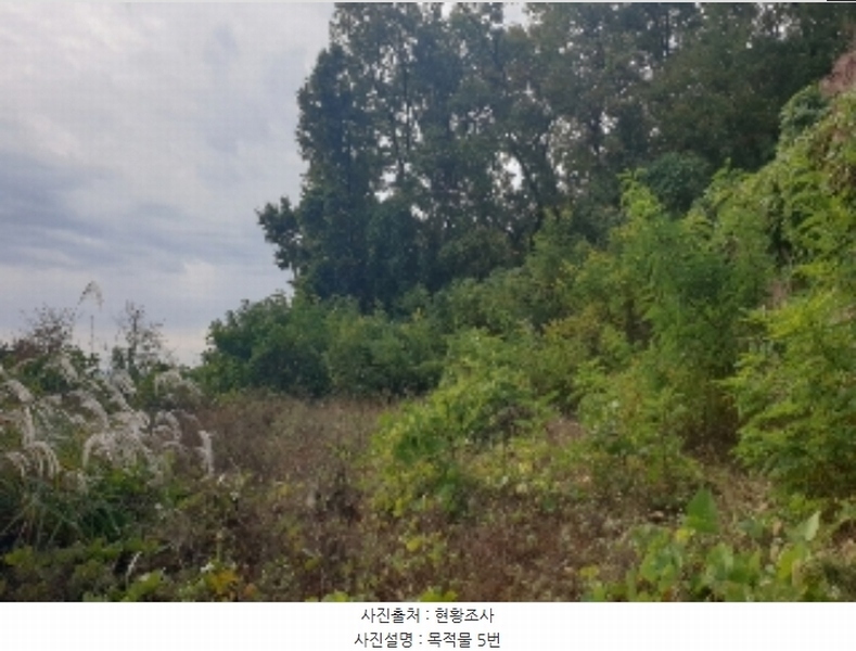 2024타경35100 충청북도 음성군 삼성면 용성리 552-6 농지 경매 이미지