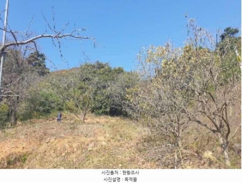 2024타경35407 충청북도 충주시 대소원면 탄용리 산50 임야 경매 이미지