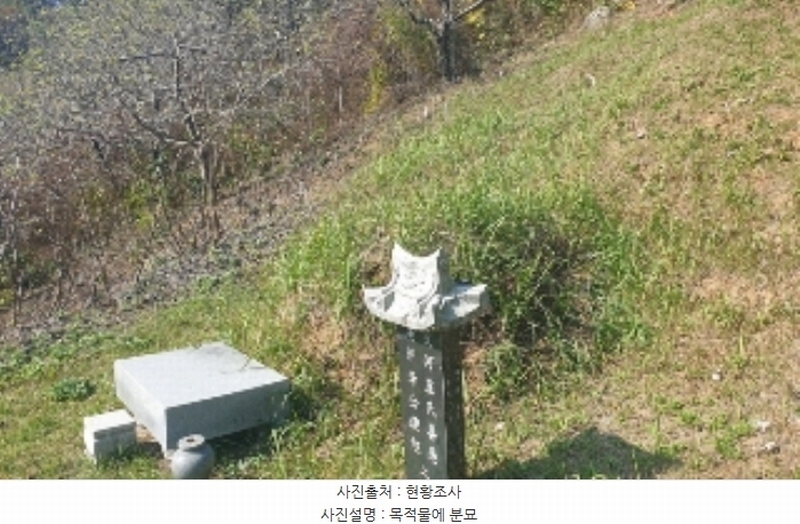 2024타경35407 충청북도 충주시 대소원면 탄용리 산50 임야 경매 이미지