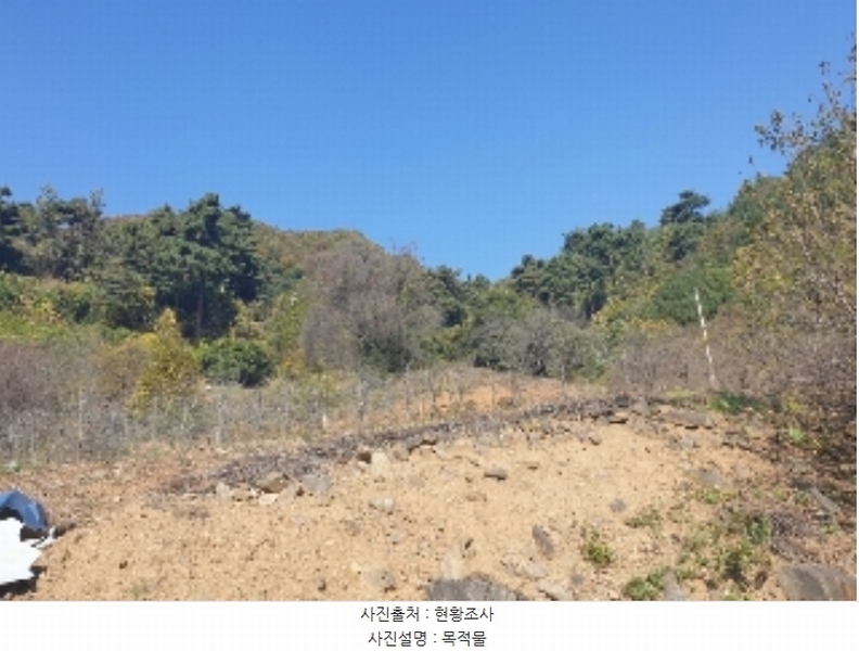 2024타경35407 충청북도 충주시 대소원면 탄용리 산50 임야 경매 이미지