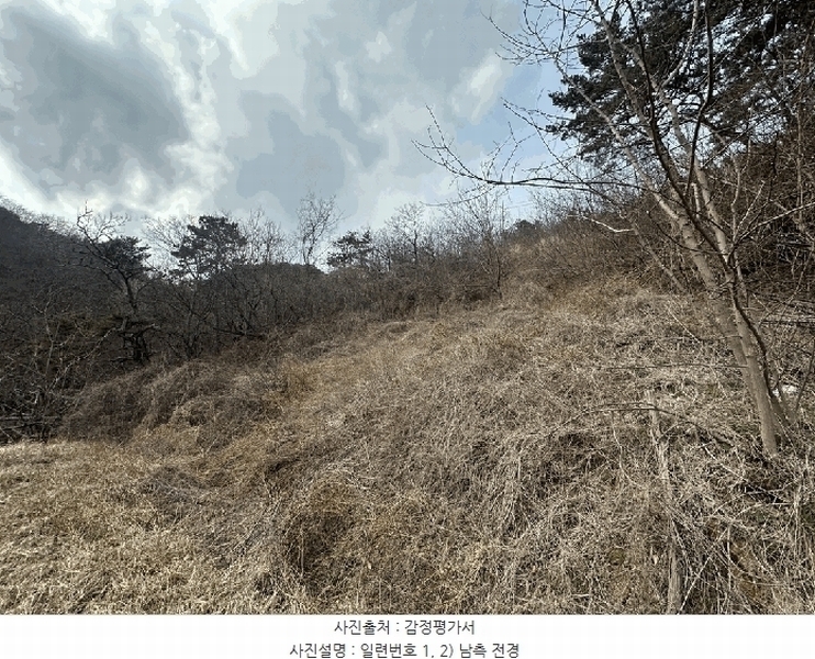2025타경10184 경상북도 영덕군 강구면 금진리 280-1 농지 경매 이미지