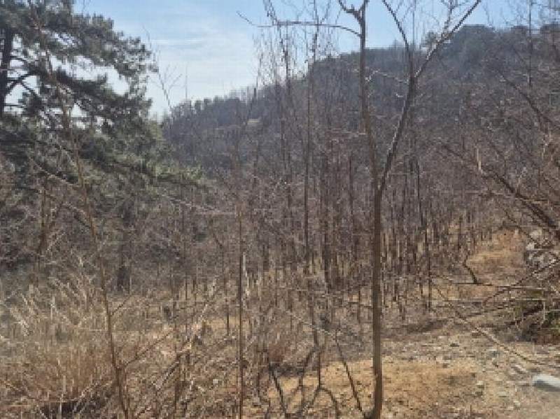 2025타경10184 경상북도 영덕군 강구면 금진리 280-1 농지 경매 이미지