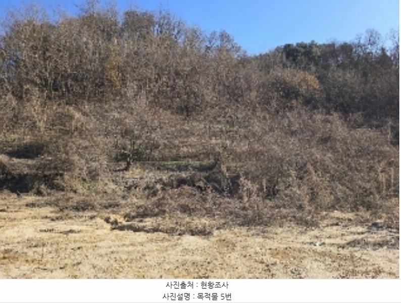 2024타경36042 충청북도 충주시 호암동 산15-3 임야 경매 이미지