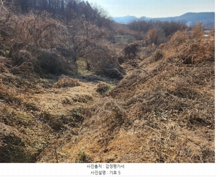 2024타경36042 충청북도 충주시 호암동 산15-3 임야 경매 이미지