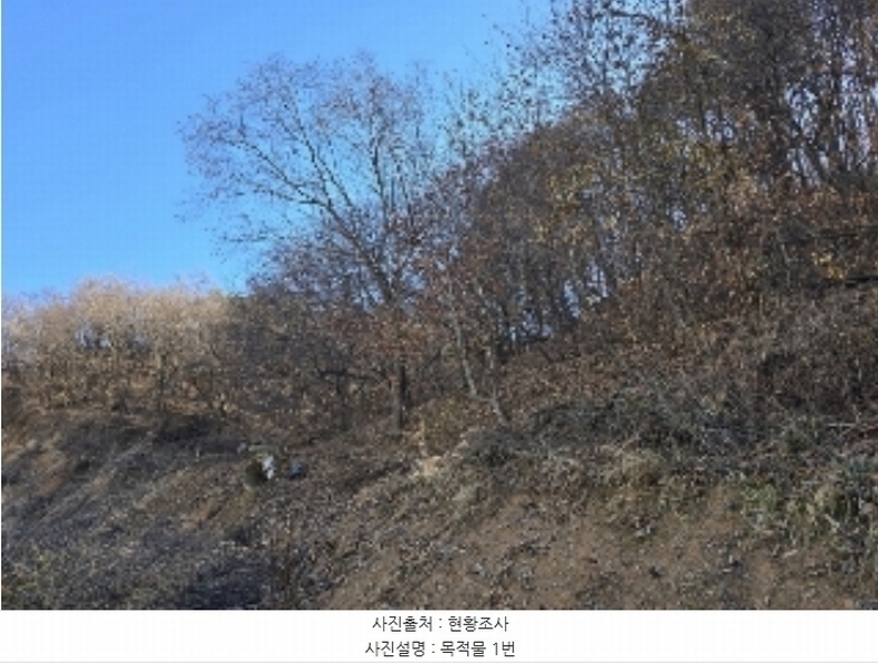 2024타경36042 충청북도 충주시 호암동 산15-3 임야 경매 이미지