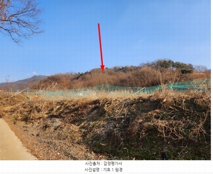 2024타경36042 충청북도 충주시 호암동 산15-3 임야 경매 이미지