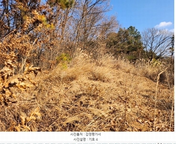 2024타경36042 충청북도 충주시 호암동 산15-3 임야 경매 이미지