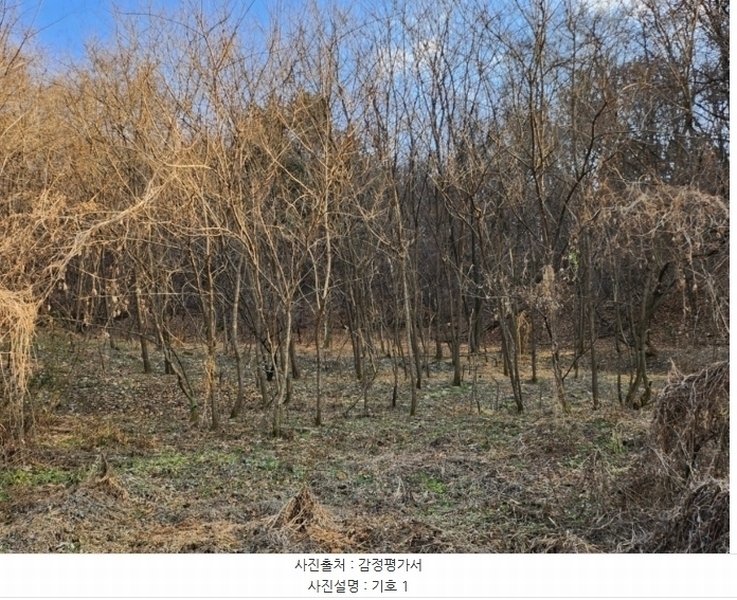 2024타경36042 충청북도 충주시 호암동 산15-3 임야 경매 이미지