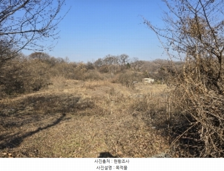 2024타경36103 충청북도 충주시 동량면 대전리 1317-6 농지 경매 이미지