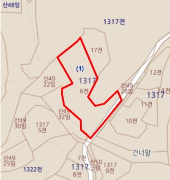 2024타경36103 충청북도 충주시 동량면 대전리 1317-6 농지 경매 이미지