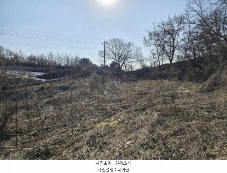 2024타경36103 충청북도 충주시 동량면 대전리 1317-6 농지 경매 이미지