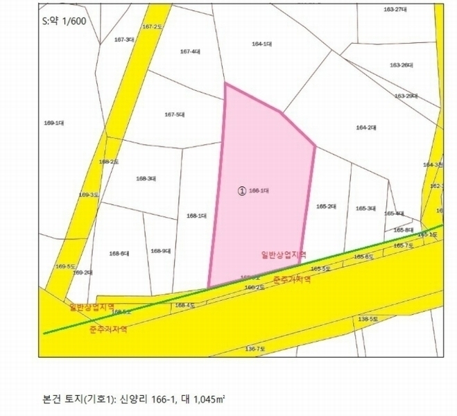 2024타경36202 충청북도 충주시 주덕읍 신양리 166-1 대지 경매 이미지