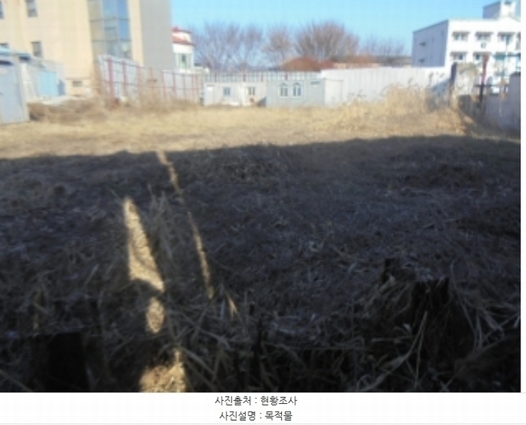 2024타경36202 충청북도 충주시 주덕읍 신양리 166-1 대지 경매 이미지