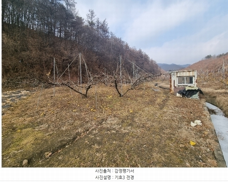 2024타경36264 충청북도 충주시 살미면 설운리 388-1 농지 경매 이미지