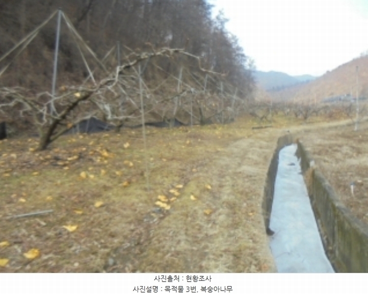 2024타경36264 충청북도 충주시 살미면 설운리 388-1 농지 경매 이미지