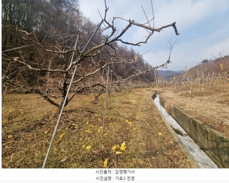 2024타경36264 충청북도 충주시 살미면 설운리 388-1 농지 경매 이미지