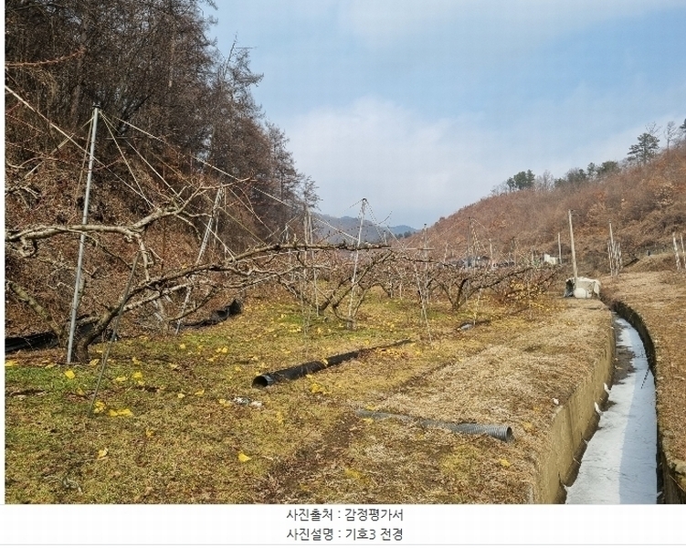 2024타경36264 충청북도 충주시 살미면 설운리 388-1 농지 경매 이미지