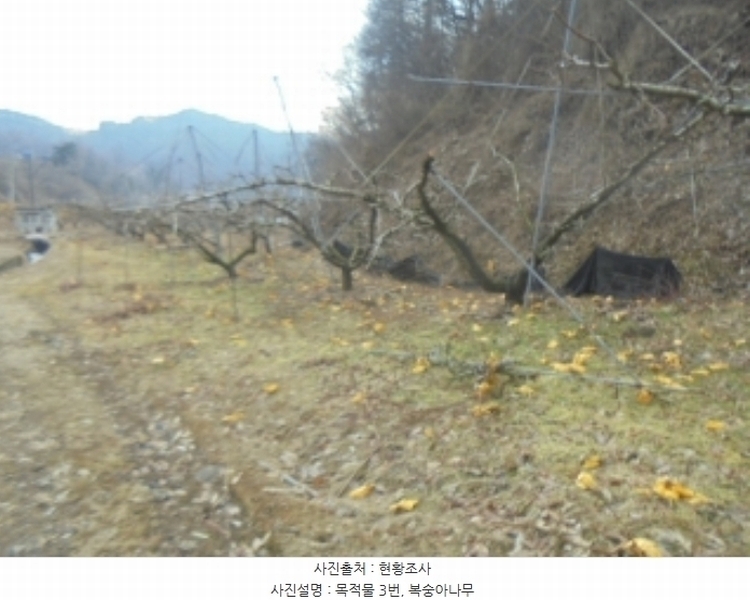 2024타경36264 충청북도 충주시 살미면 설운리 388-1 농지 경매 이미지