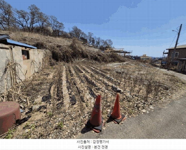 2025타경118 경상북도 문경시 윤직동 487-23 임야 경매 이미지