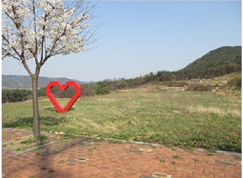 2025타경156 경상북도 상주시 은척면 남곡리 622-2 대지 경매 이미지