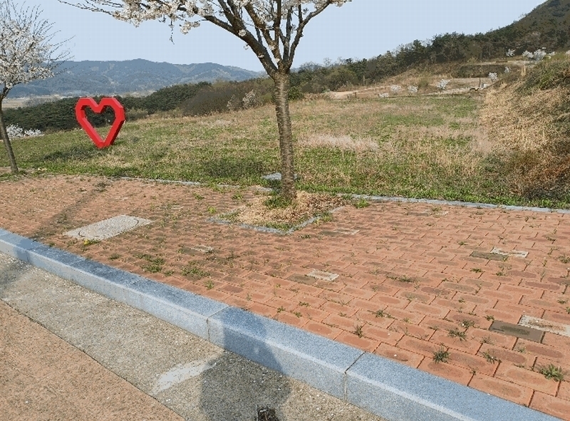 2025타경156 경상북도 상주시 은척면 남곡리 622-2 대지 경매 이미지